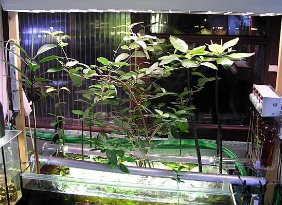 keeping and cultivation of