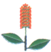 catkin